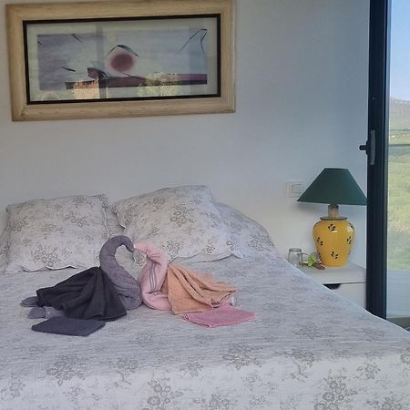 Chambre De Luxe, Spa, Piscine, Entre Mer Et Montagne Villelongue-dels-Monts 외부 사진