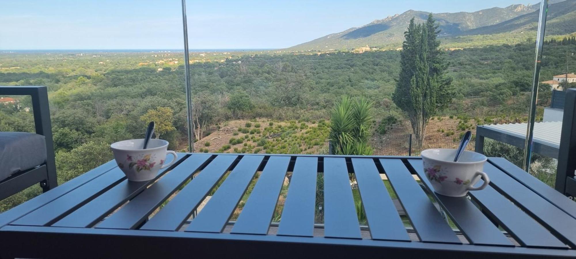 Chambre De Luxe, Spa, Piscine, Entre Mer Et Montagne Villelongue-dels-Monts 외부 사진